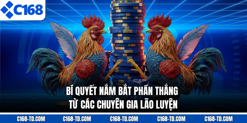 Bí Quyết Nắm Bắt Phần Thắng Từ Các Chuyên Gia Lão Luyện
