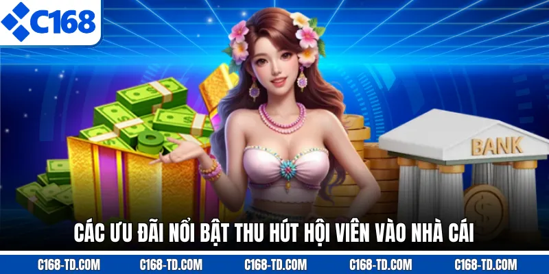 Các Ưu Đãi Nổi Bật Thu Hút Hội Viên Vào Nhà Cái