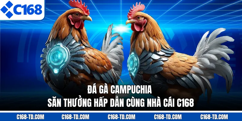 Đá Gà Campuchia - Săn Thưởng Hấp Dẫn Cùng Nhà Cái C168