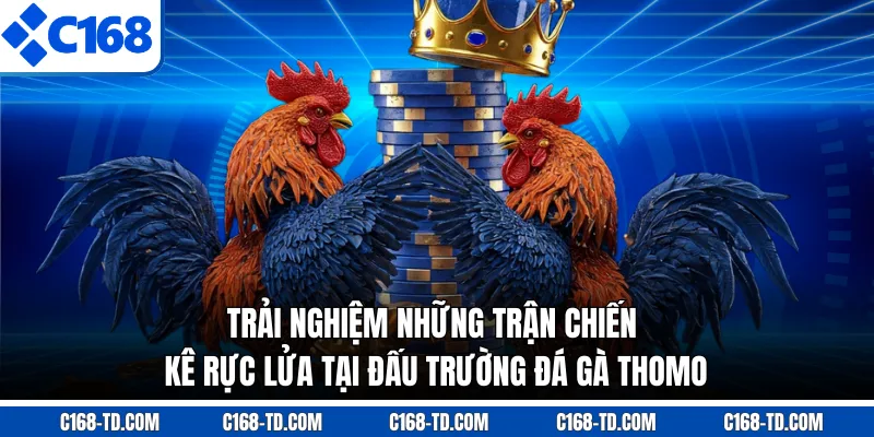Trải Nghiệm Những Trận Chiến Kê Rực Lửa Tại Đấu Trường Đá Gà Thomo
